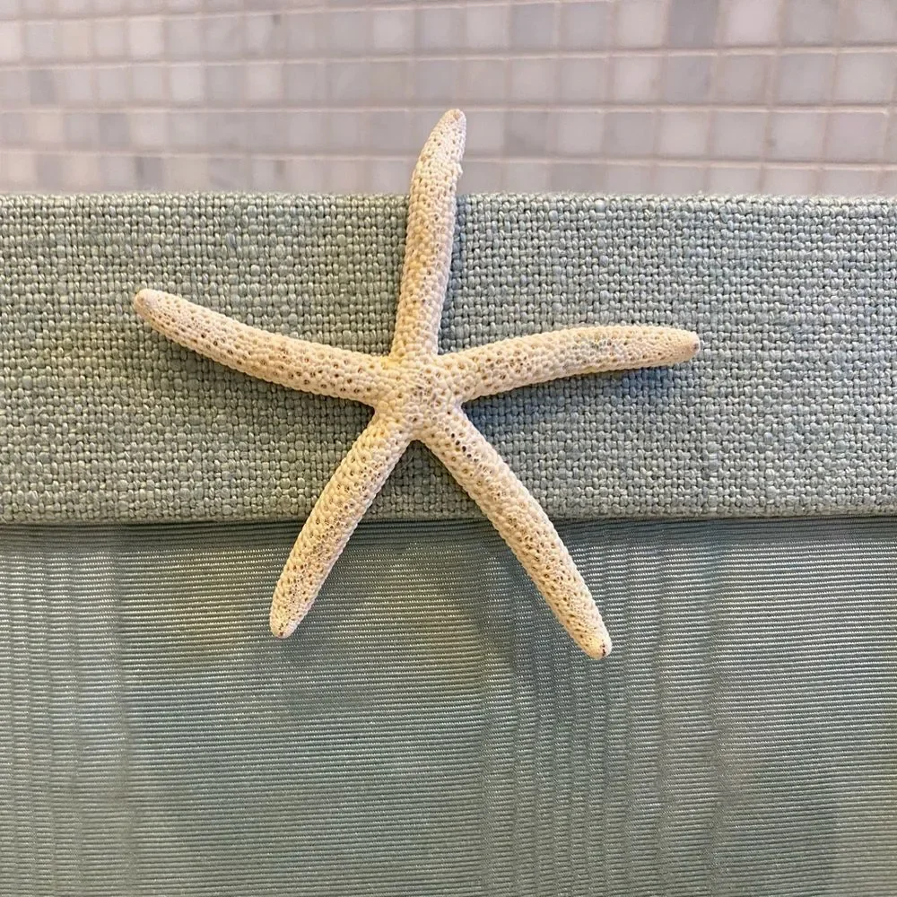 Teal Fabric Starfish 5x7 Picture Fabric
